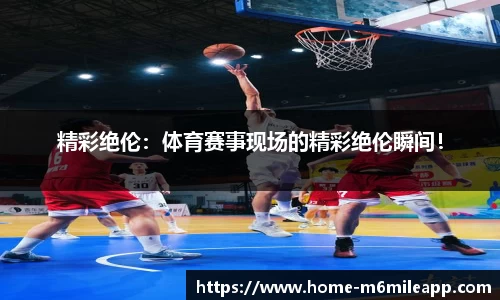 m6米乐体育